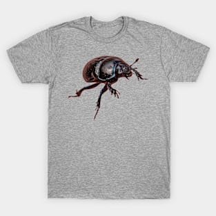 Dor Beetle T-Shirt